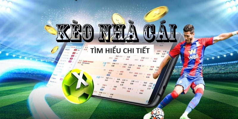 bet365-Chơi cược an toàn với trang xanh chín đáng tin cậy! bet365-Chơi cược an toàn với trang xanh chín đáng tin cậy!